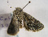  ( - TLMF Lep 00365)  @13 [ ] CreativeCommons - Attribution Non-Commercial Share-Alike (2010) Unspecified Tiroler Landesmuseen
