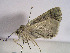  ( - TLMF Lep 00376)  @12 [ ] CreativeCommons - Attribution Non-Commercial Share-Alike (2010) Unspecified Tiroler Landesmuseen