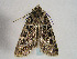  ( - TLMF Lep 00389)  @13 [ ] CreativeCommons - Attribution Non-Commercial Share-Alike (2010) Unspecified Tiroler Landesmuseen