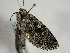  ( - TLMF Lep 00399)  @13 [ ] CreativeCommons - Attribution Non-Commercial Share-Alike (2010) Unspecified Tiroler Landesmuseen