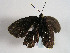  ( - TLMF Lep 00468)  @12 [ ] CreativeCommons - Attribution Non-Commercial Share-Alike (2010) Unspecified Tiroler Landesmuseen