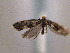  ( - TLMF Lep 00553)  @12 [ ] CreativeCommons - Attribution Non-Commercial Share-Alike (2010) Unspecified Tiroler Landesmuseen