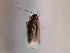  ( - TLMF Lep 00557)  @12 [ ] CreativeCommons - Attribution Non-Commercial Share-Alike (2010) Unspecified Tiroler Landesmuseen