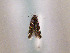  ( - TLMF Lep 00613)  @12 [ ] CreativeCommons - Attribution Non-Commercial Share-Alike (2010) Unspecified Tiroler Landesmuseen