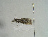  ( - TLMF Lep 00620)  @12 [ ] CreativeCommons - Attribution Non-Commercial Share-Alike (2010) Unspecified Tiroler Landesmuseen