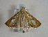  ( - TLMF Lep 00660)  @12 [ ] CreativeCommons - Attribution Non-Commercial Share-Alike (2010) Unspecified Tiroler Landesmuseen