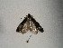  ( - TLMF Lep 00678)  @12 [ ] CreativeCommons - Attribution Non-Commercial Share-Alike (2010) Unspecified Tiroler Landesmuseen