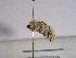  ( - TLMF Lep 00694)  @13 [ ] CreativeCommons - Attribution Non-Commercial Share-Alike (2010) Unspecified Tiroler Landesmuseen