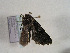  ( - TLMF Lep 00727)  @12 [ ] CreativeCommons - Attribution Non-Commercial Share-Alike (2010) Unspecified Tiroler Landesmuseen