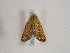  ( - TLMF Lep 00743)  @12 [ ] CreativeCommons - Attribution Non-Commercial Share-Alike (2010) Unspecified Tiroler Landesmuseen