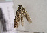 ( - TLMF Lep 00813)  @12 [ ] CreativeCommons - Attribution Non-Commercial Share-Alike (2010) Unspecified Tiroler Landesmuseen