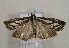  ( - TLMF Lep 00844)  @12 [ ] CreativeCommons - Attribution Non-Commercial Share-Alike (2010) Unspecified Tiroler Landesmuseen