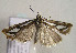  ( - TLMF Lep 00845)  @12 [ ] CreativeCommons - Attribution Non-Commercial Share-Alike (2010) Unspecified Tiroler Landesmuseen