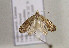  ( - TLMF Lep 00853)  @13 [ ] CreativeCommons - Attribution Non-Commercial Share-Alike (2010) Unspecified Tiroler Landesmuseen