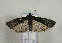  ( - TLMF Lep 00883)  @13 [ ] CreativeCommons - Attribution Non-Commercial Share-Alike (2010) Unspecified Tiroler Landesmuseen