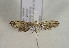  ( - TLMF Lep 00887)  @12 [ ] CreativeCommons - Attribution Non-Commercial Share-Alike (2010) Unspecified Tiroler Landesmuseen