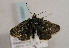  ( - TLMF Lep 00931)  @12 [ ] CreativeCommons - Attribution Non-Commercial Share-Alike (2010) Unspecified Tiroler Landesmuseen