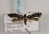  ( - TLMF Lep 00939)  @12 [ ] CreativeCommons - Attribution Non-Commercial Share-Alike (2010) Unspecified Tiroler Landesmuseen