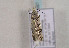  ( - TLMF Lep 00997)  @12 [ ] CreativeCommons - Attribution Non-Commercial Share-Alike (2010) Unspecified Tiroler Landesmuseen