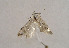  ( - TLMF Lep 01001)  @12 [ ] CreativeCommons - Attribution Non-Commercial Share-Alike (2010) Unspecified Tiroler Landesmuseen