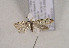  ( - TLMF Lep 01004)  @13 [ ] CreativeCommons - Attribution Non-Commercial Share-Alike (2010) Unspecified Tiroler Landesmuseen