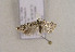  ( - TLMF Lep 01005)  @13 [ ] CreativeCommons - Attribution Non-Commercial Share-Alike (2010) Unspecified Tiroler Landesmuseen