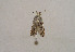  ( - TLMF Lep 01025)  @12 [ ] CreativeCommons - Attribution Non-Commercial Share-Alike (2010) Unspecified Tiroler Landesmuseen