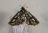  ( - TLMF Lep 01027)  @12 [ ] CreativeCommons - Attribution Non-Commercial Share-Alike (2010) Unspecified Tiroler Landesmuseen