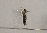  ( - TLMF Lep 01031)  @12 [ ] CreativeCommons - Attribution Non-Commercial Share-Alike (2010) Unspecified Tiroler Landesmuseen