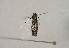  ( - TLMF Lep 01039)  @12 [ ] CreativeCommons - Attribution Non-Commercial Share-Alike (2010) Unspecified Tiroler Landesmuseen