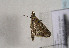  ( - TLMF Lep 01045)  @13 [ ] CreativeCommons - Attribution Non-Commercial Share-Alike (2010) Unspecified Tiroler Landesmuseen