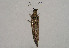  ( - TLMF Lep 01046)  @13 [ ] CreativeCommons - Attribution Non-Commercial Share-Alike (2010) Unspecified Tiroler Landesmuseen