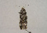  ( - TLMF Lep 01047)  @12 [ ] CreativeCommons - Attribution Non-Commercial Share-Alike (2010) Unspecified Tiroler Landesmuseen