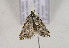  ( - TLMF Lep 01057)  @12 [ ] CreativeCommons - Attribution Non-Commercial Share-Alike (2010) Unspecified Tiroler Landesmuseen