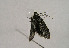  ( - TLMF Lep 01067)  @12 [ ] CreativeCommons - Attribution Non-Commercial Share-Alike (2010) Unspecified Tiroler Landesmuseen
