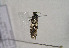  ( - TLMF Lep 01070)  @12 [ ] CreativeCommons - Attribution Non-Commercial Share-Alike (2010) Unspecified Tiroler Landesmuseen