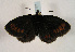  ( - TLMF Lep 01121)  @13 [ ] CreativeCommons - Attribution Non-Commercial Share-Alike (2010) Unspecified Tiroler Landesmuseen