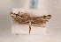  ( - TLMF Lep 01277)  @11 [ ] CreativeCommons - Attribution Non-Commercial Share-Alike (2010) Unspecified Tiroler Landesmuseen