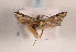  ( - TLMF Lep 01278)  @11 [ ] CreativeCommons - Attribution Non-Commercial Share-Alike (2010) Unspecified Tiroler Landesmuseen