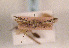  ( - TLMF Lep 01279)  @11 [ ] CreativeCommons - Attribution Non-Commercial Share-Alike (2010) Unspecified Tiroler Landesmuseen