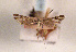  ( - TLMF Lep 01280)  @11 [ ] CreativeCommons - Attribution Non-Commercial Share-Alike (2010) Unspecified Tiroler Landesmuseen