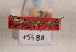  ( - TLMF Lep 01294)  @11 [ ] CreativeCommons - Attribution Non-Commercial Share-Alike (2010) Unspecified Tiroler Landesmuseen