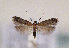  ( - TLMF Lep 01363)  @14 [ ] CreativeCommons - Attribution Non-Commercial Share-Alike (2010) Unspecified Tiroler Landesmuseen
