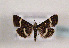  ( - TLMF Lep 01369)  @13 [ ] CreativeCommons - Attribution Non-Commercial Share-Alike (2010) Unspecified Tiroler Landesmuseen