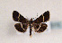  ( - TLMF Lep 01370)  @13 [ ] CreativeCommons - Attribution Non-Commercial Share-Alike (2010) Unspecified Tiroler Landesmuseen