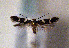  ( - TLMF Lep 01417)  @11 [ ] CreativeCommons - Attribution Non-Commercial Share-Alike (2010) Unspecified Tiroler Landesmuseen