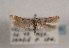  ( - TLMF Lep 01442)  @11 [ ] CreativeCommons - Attribution Non-Commercial Share-Alike (2010) Unspecified Tiroler Landesmuseen