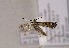  ( - TLMF Lep 01498)  @12 [ ] Copyright  TLMF 2010 Unspecified