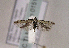  ( - TLMF Lep 01516)  @13 [ ] Copyright  TLMF 2010 Unspecified