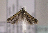 ( - TLMF Lep 01517)  @12 [ ] Copyright  TLMF 2010 Unspecified